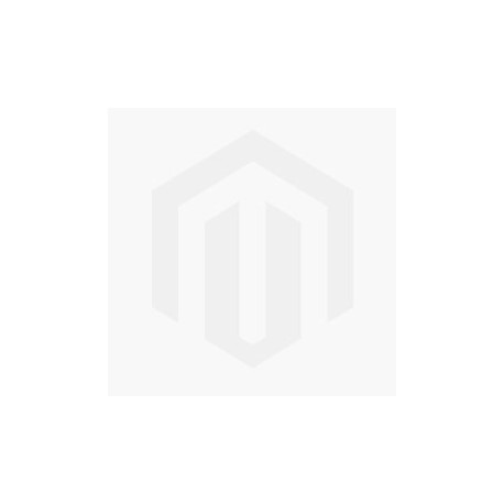 Blanqueador FUJI 4X4L EC1-RA AP (P2) 600006774